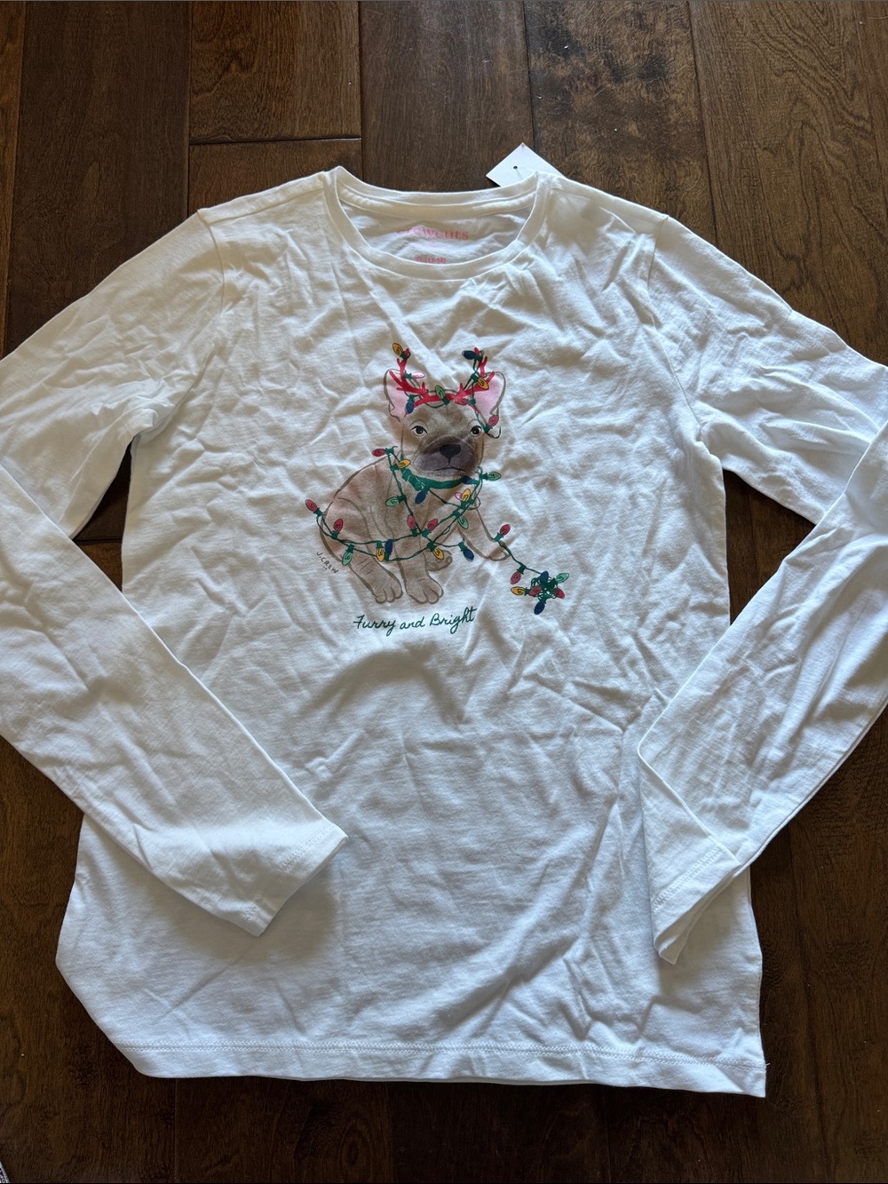 J. Crew Factory White Long-Sleeve Tee with Holiday Puppy Graphic